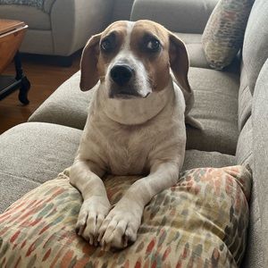 Meet your Posher, Anna